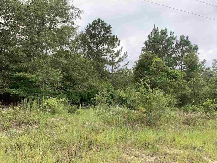 0 Bowen Dr unit 9017107, Eastman, GA 31023 - photo 1