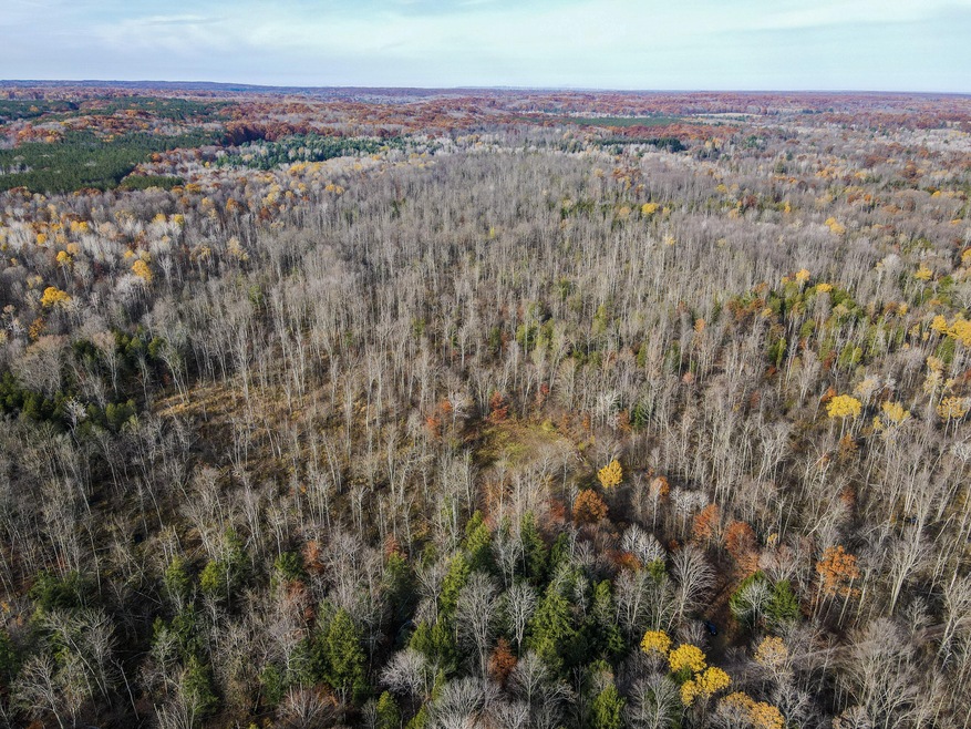 DJI_0853 (1)