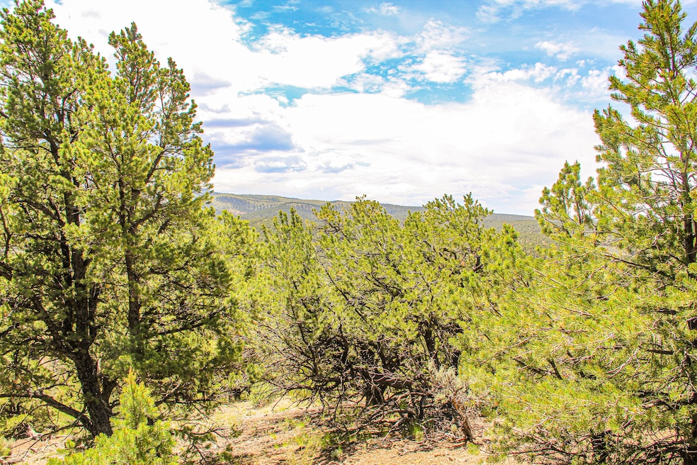 0 Alexandre unit 25553701, Fort Garland, CO 81133 - photo 1