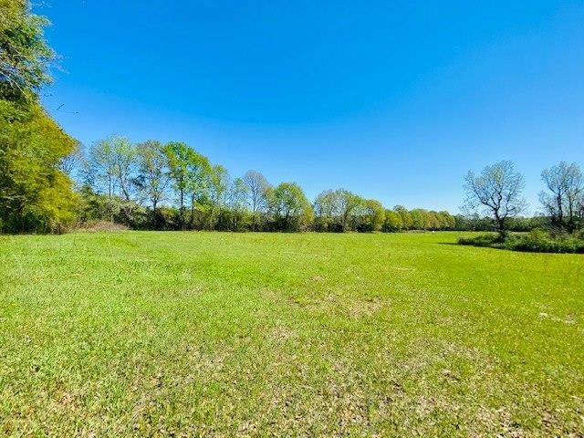 000 S Mary Topps Rd, Franklinton, LA 70438 - photo 1