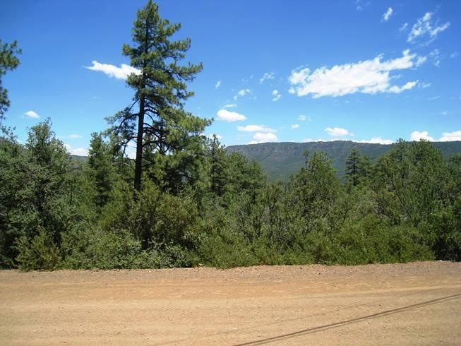 27 Pine View Dr, Pine, AZ 85544 - photo 1