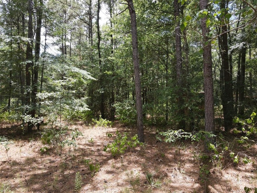 11354 County Road 351, Plantersville, TX 77363 For Sale