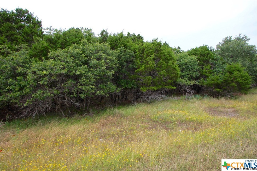 15746 Salado Dr, Temple, TX 76502 - photo 1