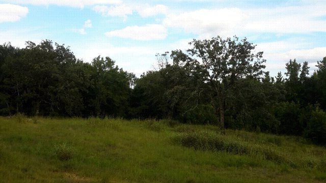 147 Cr 405, Oxford, MS 38655 - photo 1