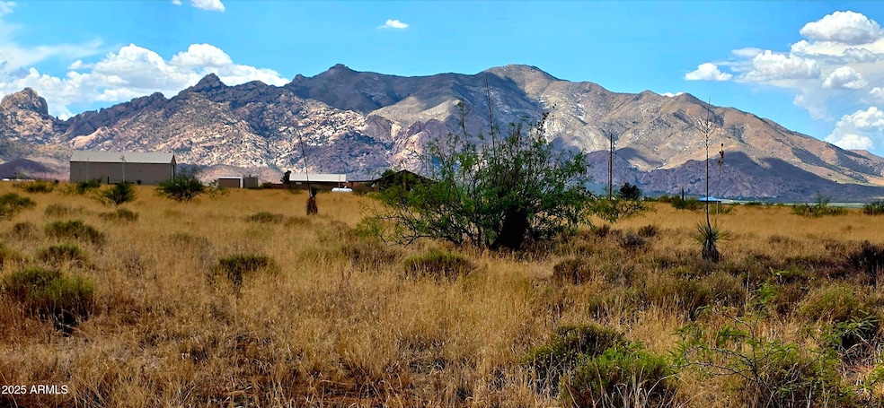 Lot 1 Willcox Road
