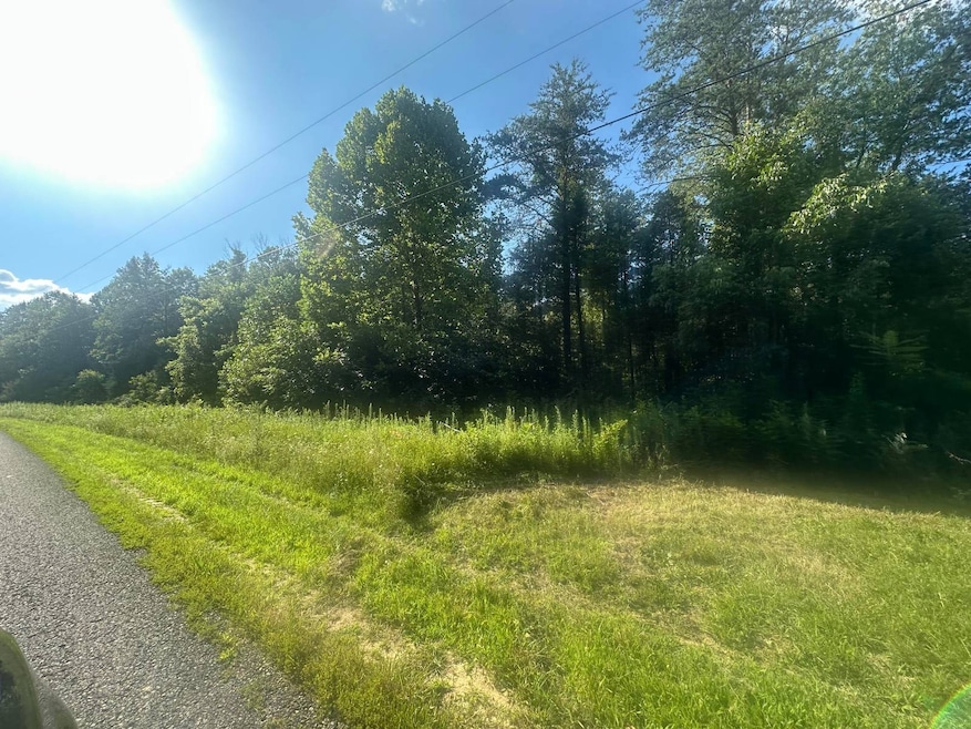 13 Holcomb Landing unit 13, Burkesville, KY 42717 - photo 1