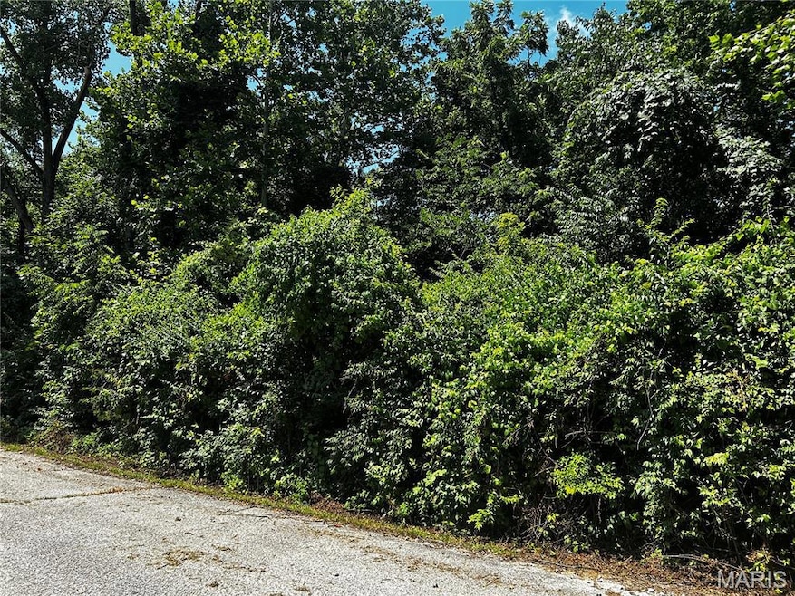 204 Incline Village (Cypress Ct), Unincorporated, MO 63348 - photo 1