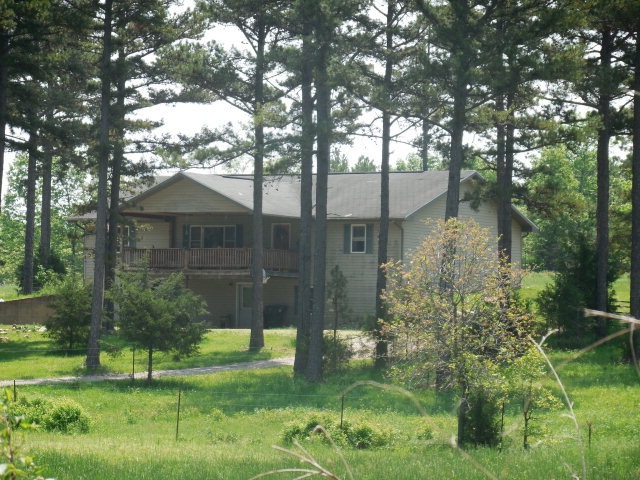 Primary Photo