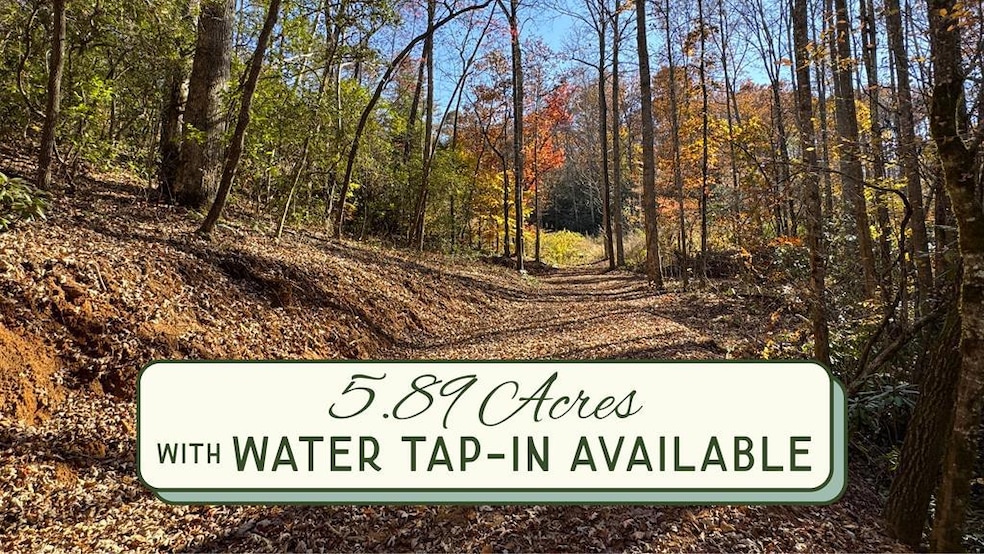 300 River Mist Ln, Franklin, NC 28734 - photo 1