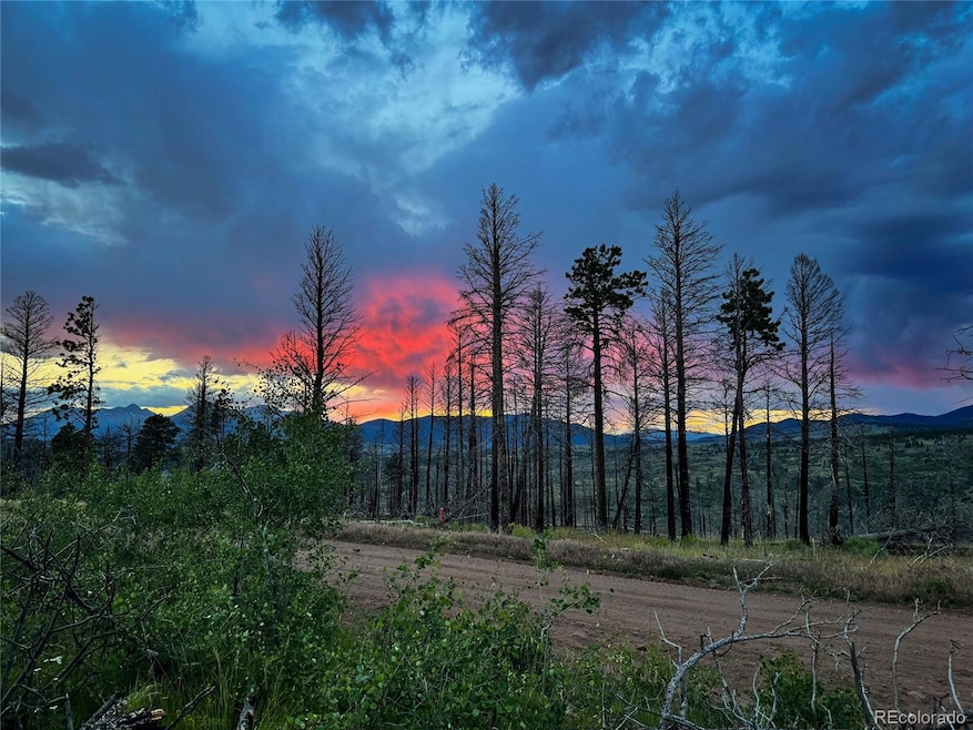 LOT 591 Leslie Loop, Fort Garland, CO 81133 - photo 1