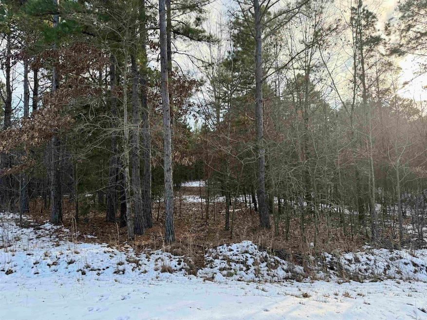 295 Greene 7502 Rd, Paragould, AR 72450 - photo 1