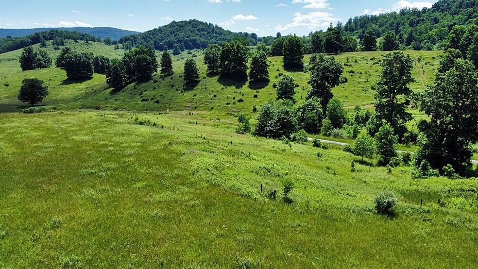 2.03 acre view4