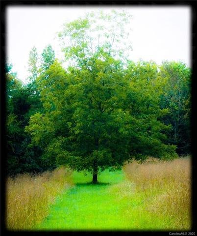 239 Bell Farm Rd, Statesville, NC 28625 - photo 1