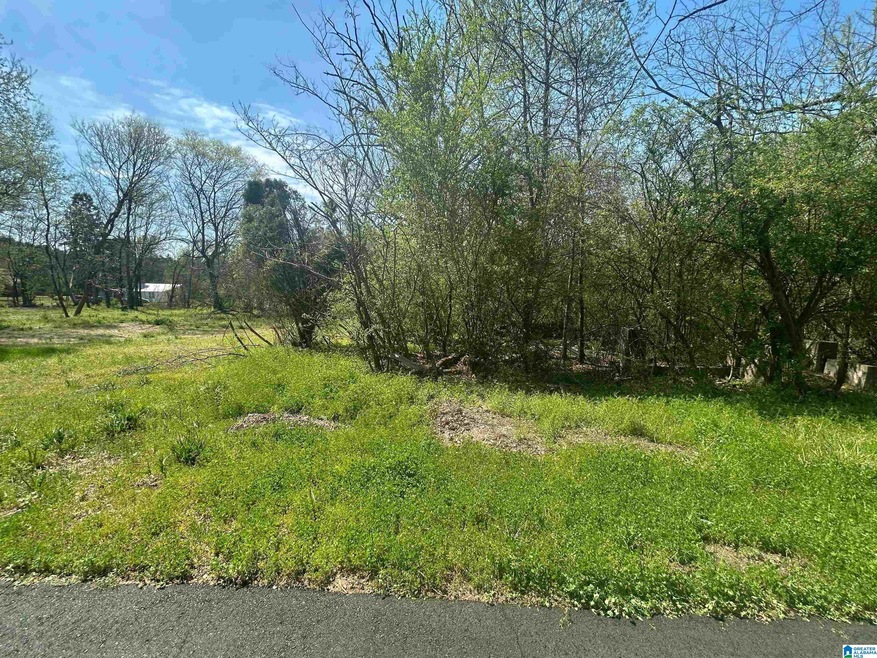 1305 Bullard St unit 10, Bessemer, AL 35020 - photo 1