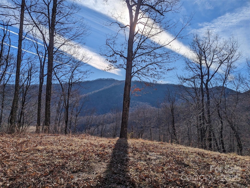 367 Kestrel Ln unit T-85, Black Mountain, NC 28711 - photo 1