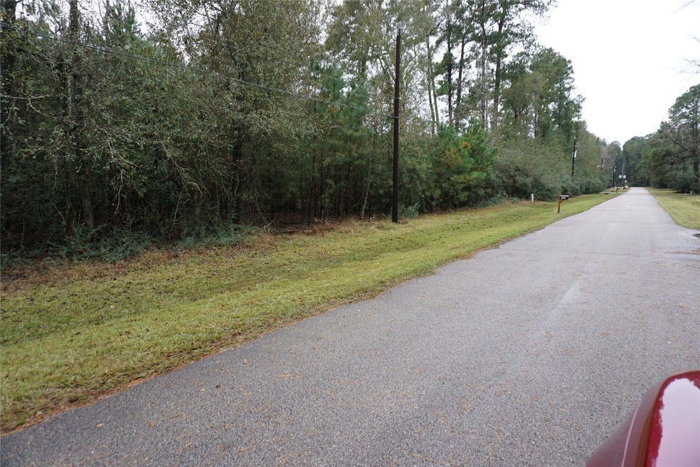 TBD Caddo Trail, Magnolia, TX 77354 - photo 1