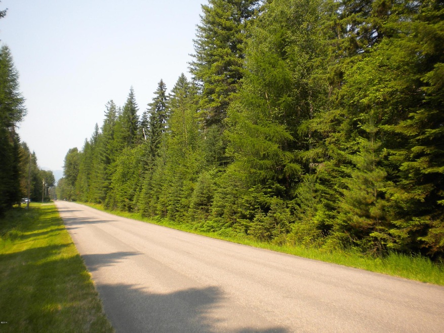 445 Aero Ln, Big Fork, MT 59911 - photo 1