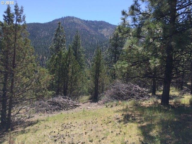0 Adam Rd unit 18385791, Canyon City, OR 97820 - photo 1