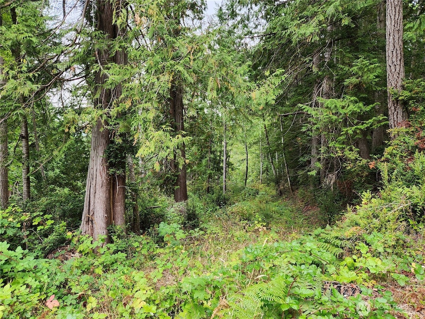 0 Yashi Rd unit NWM2428983, Brinnon, WA 98320 - photo 1