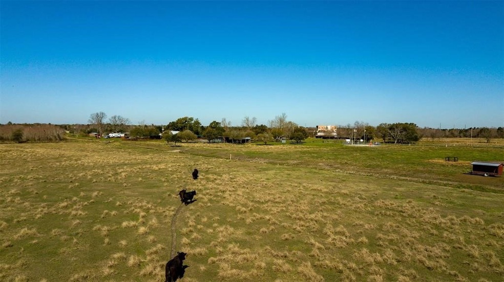 00 Lundy Ln, Friendswood, TX 77546 - photo 1