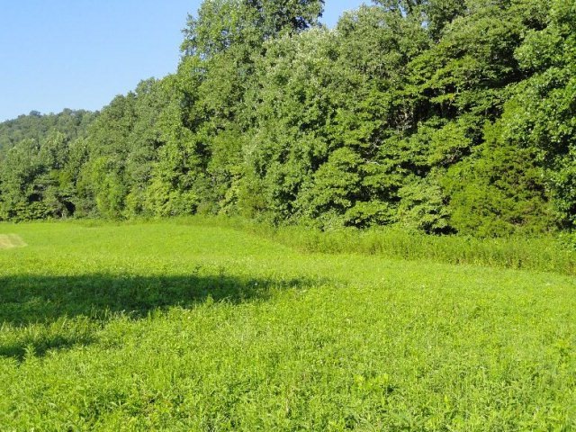 15 AC Issacs Pass, Cookeville, TN 38506 - photo 1