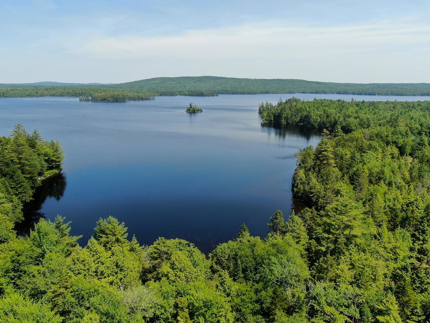 21 Spruce Point Rd, Lowell, ME 04493 - photo 1