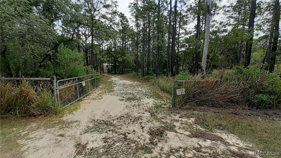 Entry Gate and Driveway