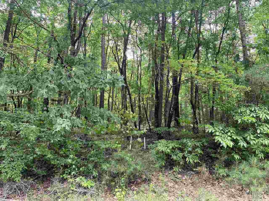 10015 Holly Ct, Villa Rica, GA 30180 - photo 1