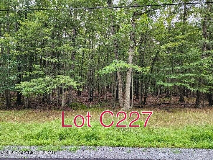 Lot C227 Twin Lake Rd, Indian Mountain Lake, PA 18210 - photo 1