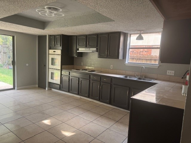 10106 Prairie Mist St, Houston, TX 77088 - photo 1