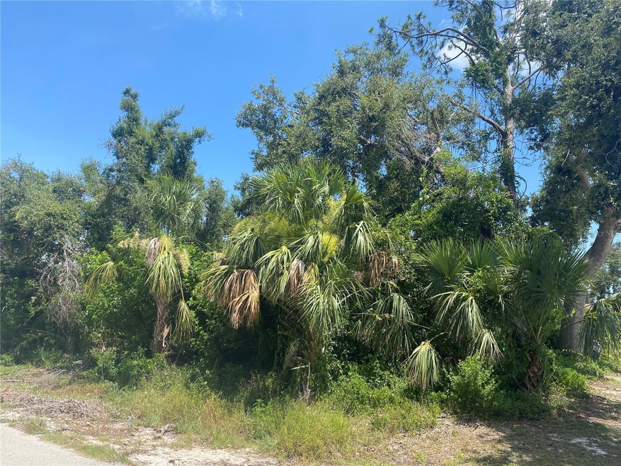 1231 Joplin Ave NW, Port Charlotte, FL 33948 - photo 1