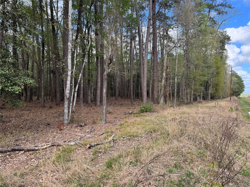 0 County Road 2317 unit 78772077, Dayton, TX 77535 - photo 1