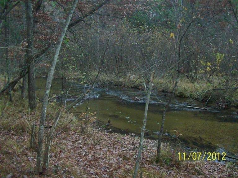 52 Osage, Baldwin, MI 49304 - photo 1