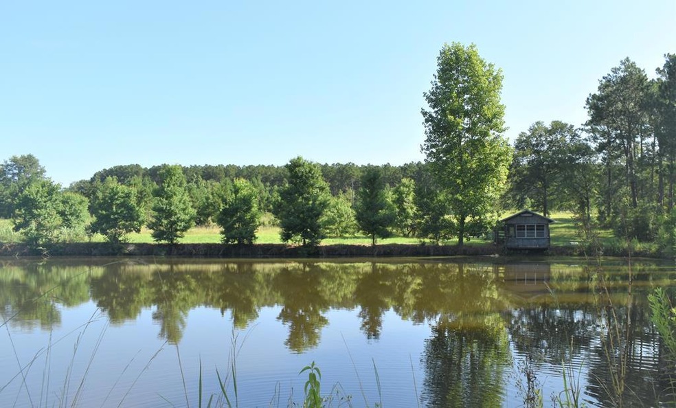 2810 Thompson Pond Rd, Tarrytown, GA 30470 - photo 1