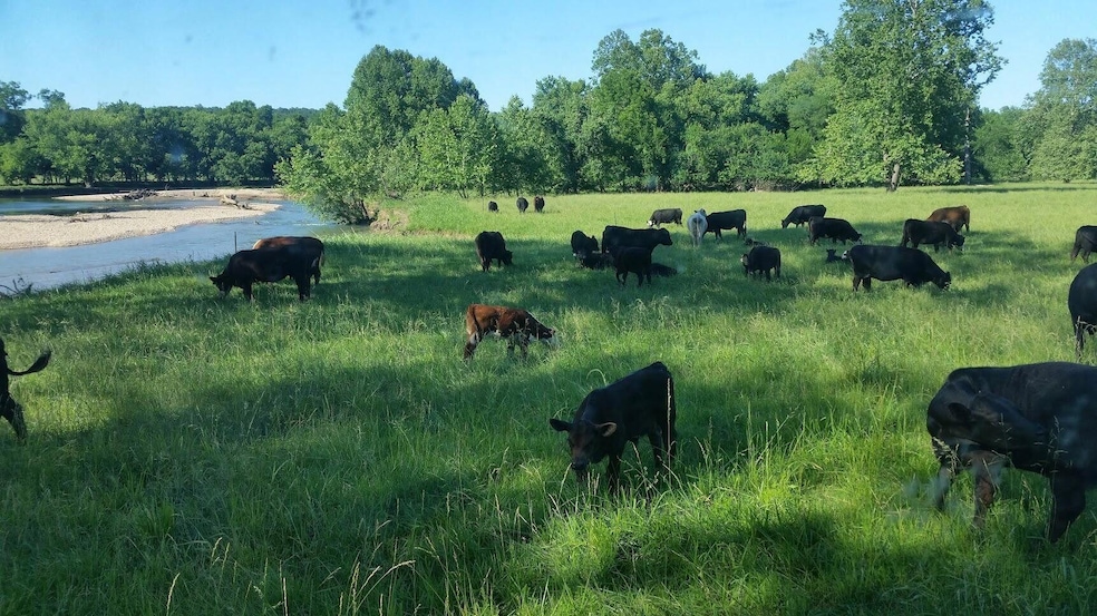 PASTURE
