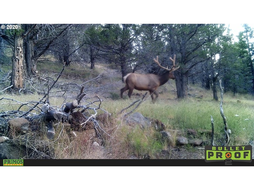 0 Shop Gulch unit 20573615, Mount Vernon, OR 97865 - photo 1