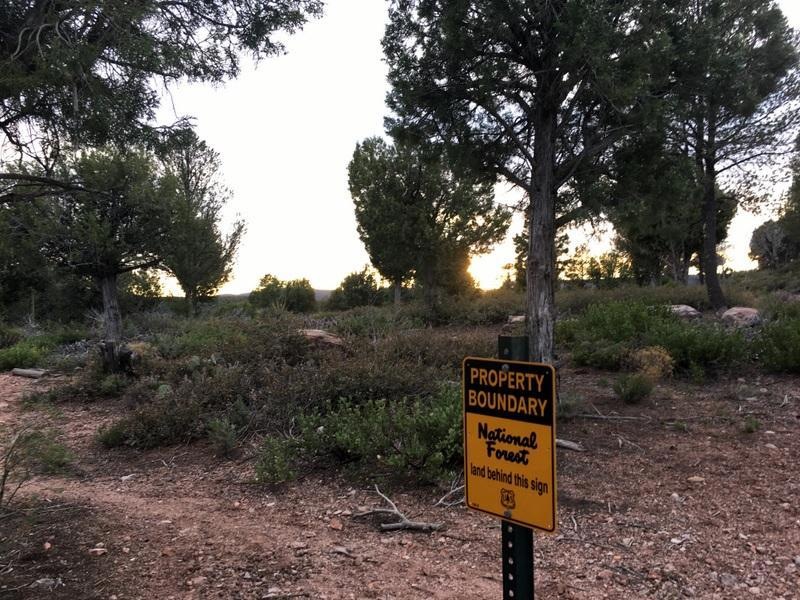 8 S Palomino Dr, Payson, AZ 85541 - photo 1