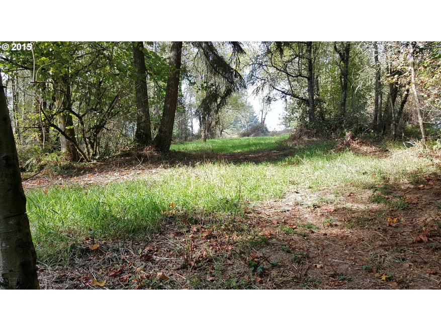 0 W 4th St, Rainier, OR 97048 - photo 1