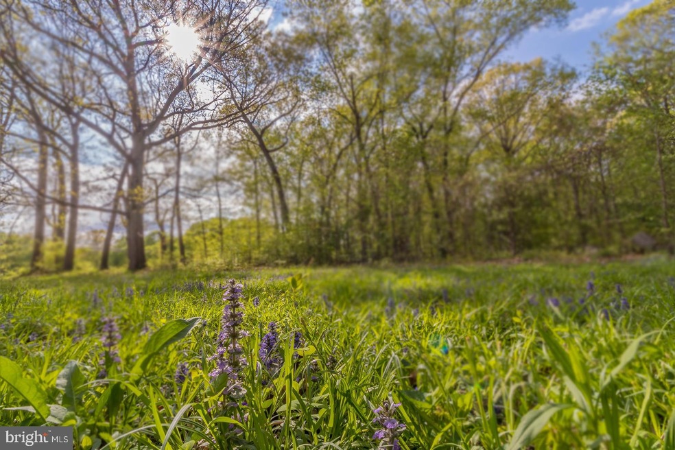 224 Village Rd E, West Windsor, NJ 08550 - photo 1