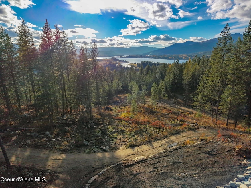 320 & NNA Towering Pines, Sagle, ID 83860 - photo 1