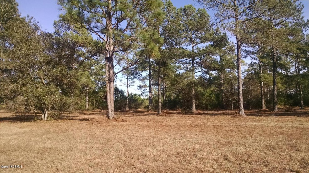 ORP Pond Lot Baron's Court