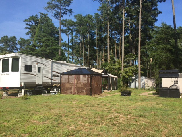 Main View
