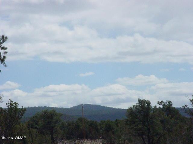 Nicely Treed Vernon Land