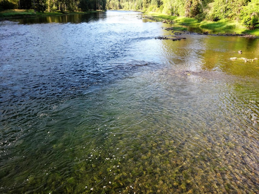 453 Kelley Dr, Big Fork, MT 59911 - photo 1