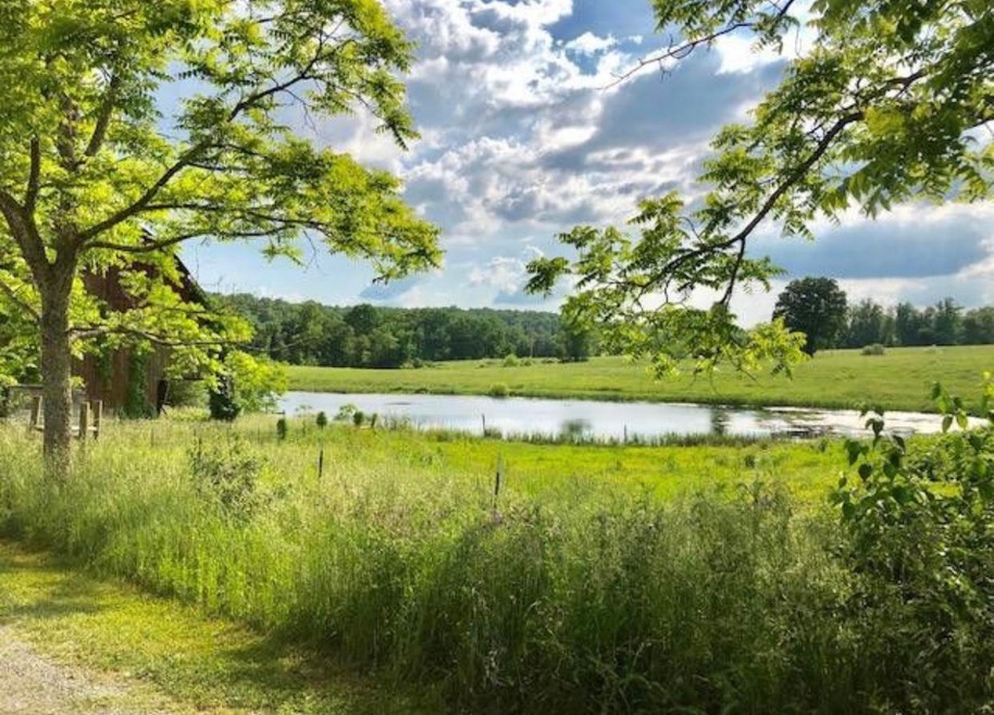 0 Ray Hodgin Rd, Crossville, TN 38571 - photo 1