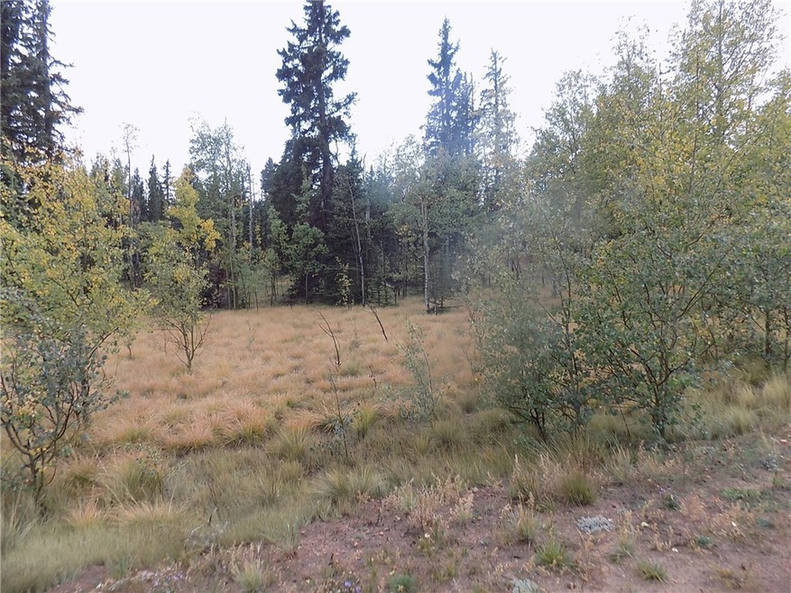 116 Falcon Rd, Como, CO 80432 - photo 1