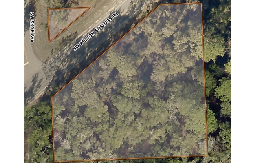 TBD Wilson Spring, Fort White, FL 32038 - photo 1