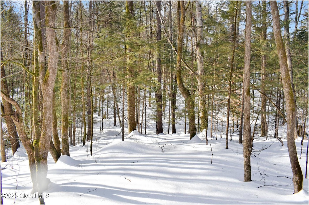 L96 Highview Ln unit Lot 12, Wevertown, NY 12886 - photo 1