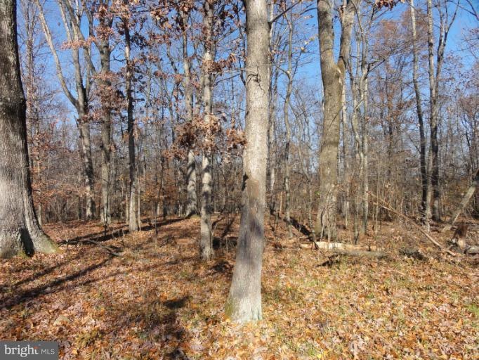 0 Mount Gilead Rd unit 1000602785, Leesburg, VA 20175 - photo 1