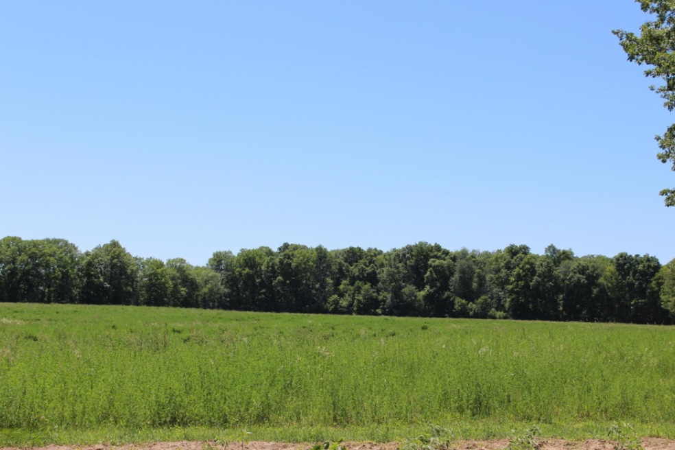 2536 Patterson Rd, Wayland, MI 49348 - photo 1